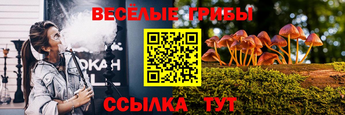 Гашиш  LSD-25  Марихуана  Минусинск  Кетамин  NBOMe  Меф МЯУ МЯУ кристаллы  Вход с VPN  ЭКСТАЗИ  КОКАИН 