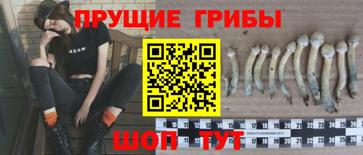Галлюциногенные грибы GOLDEN TEACHER Минусинск